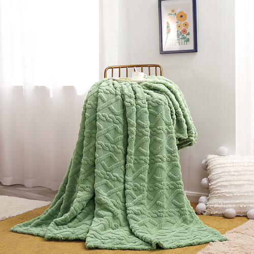 Coperta in micropile 27x39 pollici 1