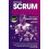 Scrum Queens by Ali Donnelly Paperback Book 1