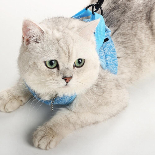 Adjustable Escape-Proof Cat Harness and Leash Set Green L 2