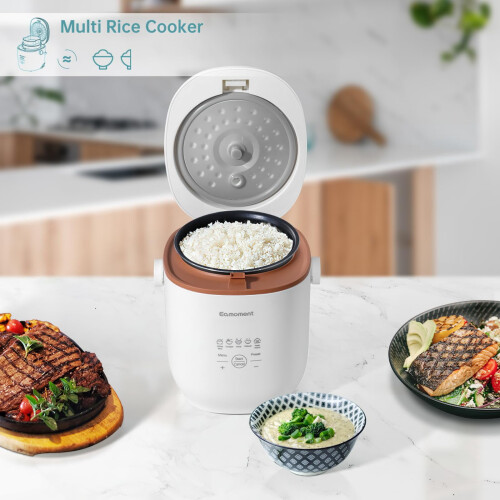Mini rice cooker with non-stick insert and vegetable 1