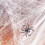 Halloween spider net with 4 fake spiders, white stretchable 3