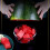 Stainless Steel Watermelon Slicer Fork 2-in-1 7