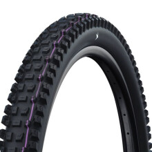 Banden - SCHWALBE - Albert - Bescherming V-Guard - Gomme Addix Race - 485 gr