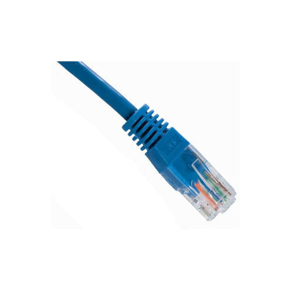 Cat5eèÈ²Ç½Ç»È·³Çº¿ 10È±Å°ºå¸¦Ä¿Æ¤Å¥ Blue 9336866025781