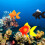 Artificial Aquarium Fish Orange Floating Decor 1pc 4