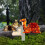 Acrylic Sheep and Camels Garden Decor Set 2