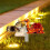 Acrylic Sheep and Camels Garden Decor Set 5