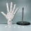 Giyblacko hand model with movable finger joints 1:1 2
