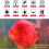 Submersible LED Aquarium Light Color Changing 1.2W 9-LED 5