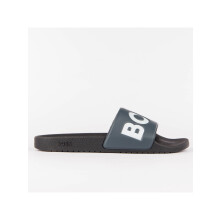 (2233) Aryeh Slid