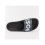 (2233) Aryeh Slid 2