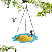 Giyblacko Smart Bird Feeder with 1080P Camera and WiFi