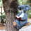 Solar-Powered Bear and Koala Book Sculpture with LED Lights 7