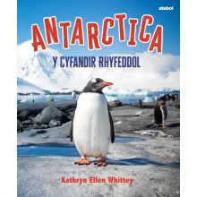 Antarctica Y Cyfandir Rhyfeddol by Kathryn Whittey Paperback Book