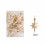 Bethlehem Star Christmas Ornament Plastic Orange 12 pcs 8