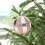 Christmas Tree Ornaments Gold Striped Pompoms 8cm 6