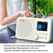 C10 2.4 Inch Color LCD Screen Alarm Clock DAB DAB+ FM Broadcasting Radio Supports TF Card MP3 Player
