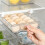 Multi-Layer Refrigerator Egg Holder with Slide-Out Design 1