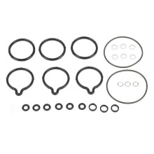 Alfa Romeo Kraftstoffpumpen-Dichtungssatz O-Ringe Hochdruckreparatur