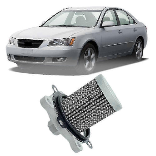 Precision Engineered 33095-3KAA0 Fuel Filter for Hyundai LPG Vehicles 2