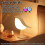 Dimmable Bedside Lamp with Touch Control, Wireless Night Light in 3 Colors for Home 5