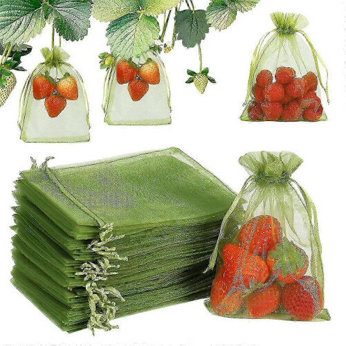 100 Stück Obstschutzbeutel, 8x12 Zoll grüne Obstnetzbeutel 2