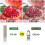 Smart Dimmable Bulb for G9 Socket, LED Lamp with Remote, No Flicker 650LM. 5