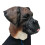 Bulldoggen-Latexmaske 3