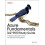 Azure Fundamentals Az900 Study Guide by Jack Lee Paperback Book 1