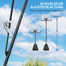 Canasta de Baloncesto Negro 109.6 x 69.6 x 365 cm