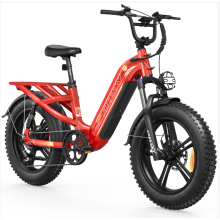 Freesky A320 Electric Bike