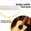 Guitar Guitar bridge ivory bone bone nut saddle acoustic bridge saddle 6