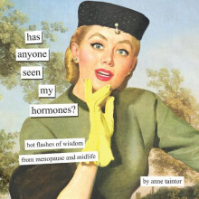 Has Anyone Seen My Hormones by Anne Taintor Hardcover Book