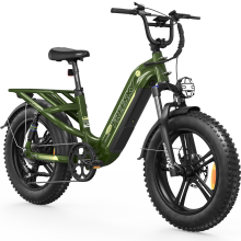 Freesky ROCKY Pro A-320 2500W High Speed E-Bike, Long Range 45-90 Miles, 400LBS Capacity Torque Sensing Electric Bike
