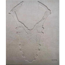 Adriano Amaral Hardcover Book
