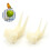 Plastic fruitvork voor vogelkooivoederbak (1 stuk) 2