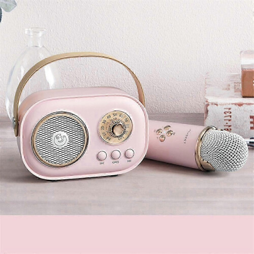 Wireless Bluetooth Audio Portable Amplifier for Home Karaoke, Microphone and Children's Singing Practice, Compact Small Microphone Speaker 2