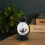Homerr LED lantern with handle 1 pack 6
