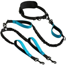 Hands-Free Dog Leash for 2 Dogs - Adjustable, Elastic, No- Dual Leash for Running and Walking