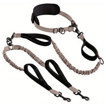 Hände-Freie Hundeleine für 2 Hunde - Verstellbare, Elastische, Verwicklungsfreie Doppelleine zum Laufen und Gehen Khaki