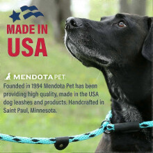 new 25-26 Slip Leash Dog Lead and Collar Combo for Large Breeds 1/2 in x 4 ft