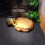 Reptile Carpet Mat for Bearded Dragons and Lizards 8