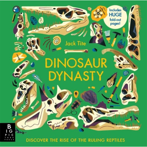 Dinosaur Dynasty by Jack Tite Hardcover Book