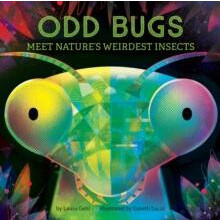 Odd Bugs A Curious Critters Board Book Meet Natures Weirdest Insects b
