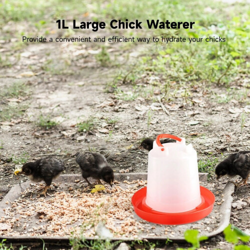 Chick Waterer Heavy-Duty Plastic 1L 4-Pack 1
