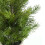 Faux Pine Tree in Grey Plastic Pot 21 Inch 2