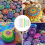 Mandala dotting tools set for rock painting 26 pcs 4