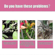 Premium 3-1-2 Liquid Fertilizer Spray for Desert Rose Plant, Special Fertilizer for Desert Rose Soil Nutrition And Seedling Fertilizer