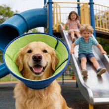 (S) Dog Cone Collar Soft Recovery Collar Prevents Biting, Scratching Licking Wounds After Surgery