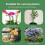 (10pcs, 37cm) Orchid Plant Support Stakes - Green, 27/37cm, Loop Design 1